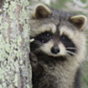 Meet your Posher, Kunal